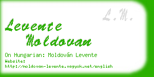levente moldovan business card