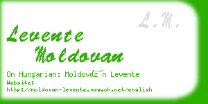 levente moldovan business card